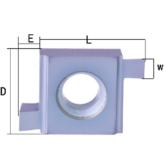 O-ring Insert